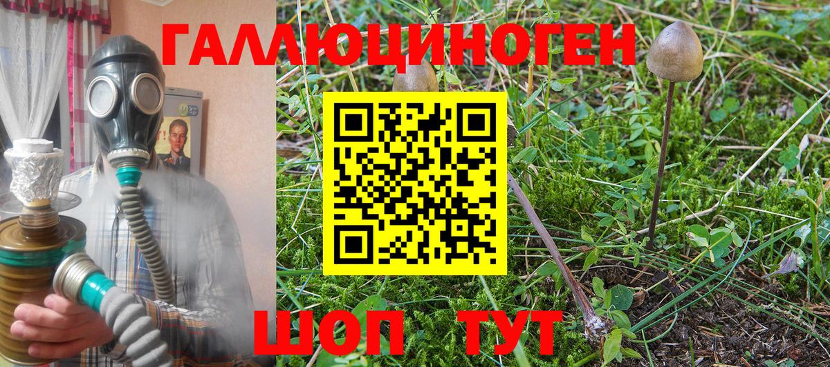 Псилоцибиновые грибы Magic Shrooms  Вход с VPN  Качканар 